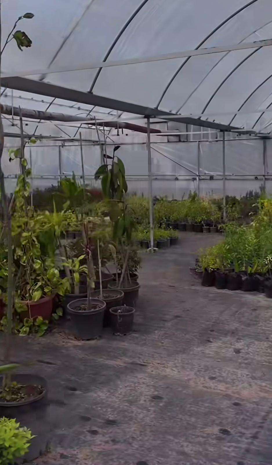 Dalaman Belediyesinde Seracılık Eğitimi Başlıyor 5